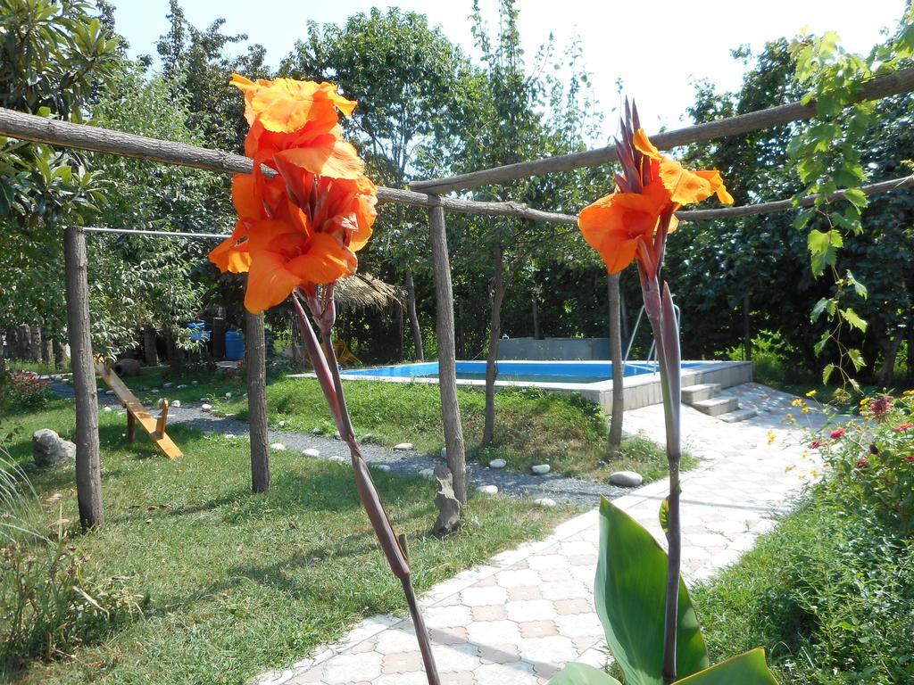 Nona Guest House Shilda Exterior photo